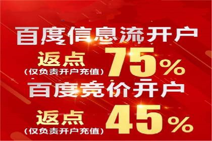 信息流广告竞价策略：成功案例分享